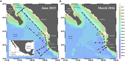 Ventilation of the Upper Oxygen Minimum Zone in the Coastal Region Off Mexico: Implications of El Niño 2015–2016